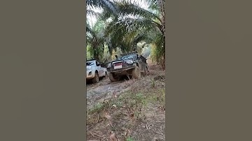 Tak di siksa tak bisa pulang 4×4 langsir sawit