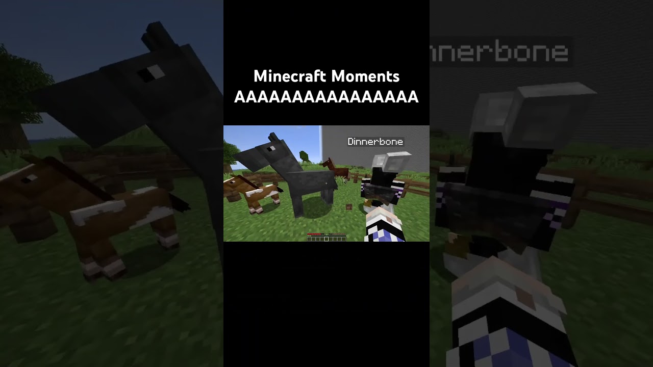 Minecraft Moments AAAAAAAAAAAAA