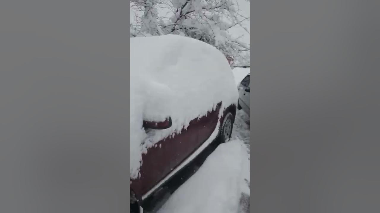 11 е января. 11 е января