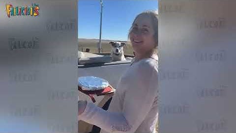 TOTAL IDIOTS AT WORK | Instant Regret Fails Compilation 2025 | Best fail of the week😂 #74