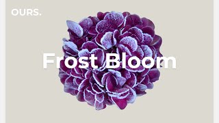 Soft House for Focus ☕️ | 5+ Hours of Minimal Grooves & Deep Calm