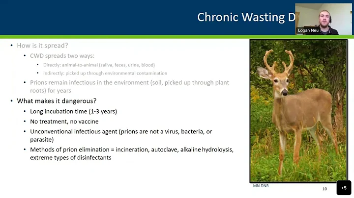 CWD and deer hunting