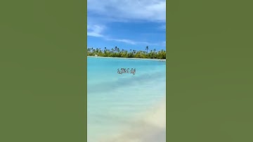 واتس أب قرآن كريم القارئ فالح مشاري من سورة (النمل)