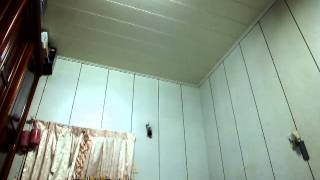 kuntan V120D02SS 試飛2數位高速尾伺服DS37原廠塑膠齒.MOV