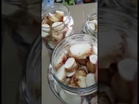 جبست الالمازة للطرشي حبايب لتنسوني بالايك احبكم احلى واجمل متابعين