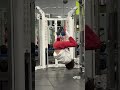 Do you know what this exercise is called? 🏋🏼#electronicmusic #newmusic #gym #fail📹 :gymweirdos