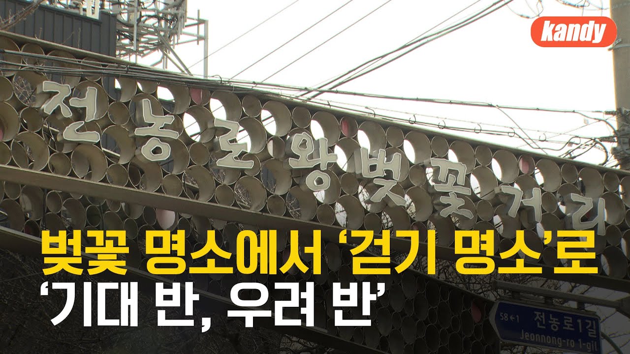 ‘전농로’를 보행자 우선도로로?…‘기대 반, 우려 반’ / KBS  2025.01.31.