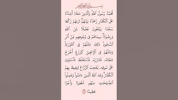 القرآن الكريم سورة الفتح سعد الغامدي #القرآن_الكريم #راحة_نفسية #اطمئن