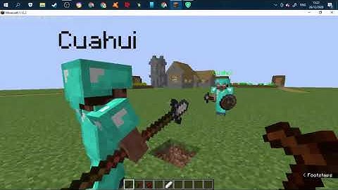 How to use the Custom NPC mod 1 12 2 for Battles! (Minecraft)