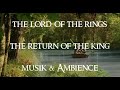 The Lord of the Rings - The Return of the King | Music &amp; Ambience PART 1