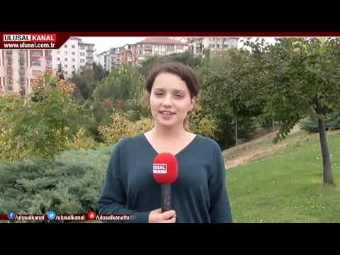 Akciğer kanserinin belirtileri