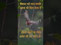😴बेवफा को याद कर के  आज भी दिल रोता है😭 #motivation #shorts #shayaristatus #shortvideo