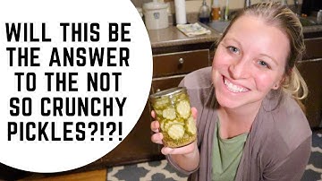 Low Temperature Pasteurized Pickles￼ | Wood Chip Gardening | Day in the Life of Modern Homesteaders