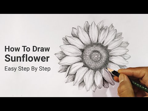 Video: How To Draw A Sunflower With A Pencil