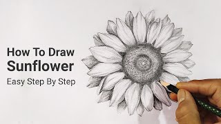 Learn How to Draw Sunflower Plant Sunflower Step by Step  Drawing  Tutorials