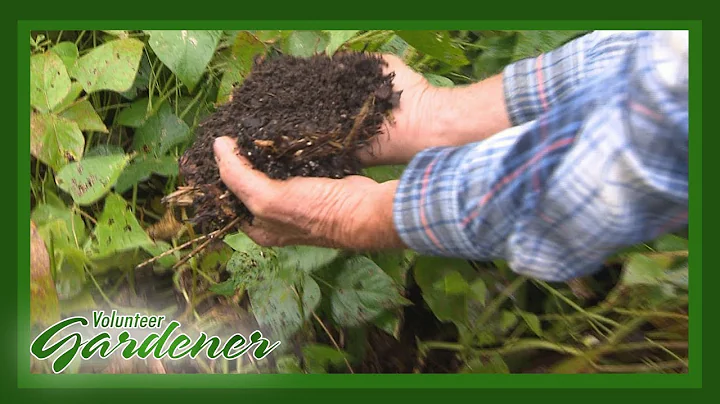 Building Rich Soil | Volunteer Gardener