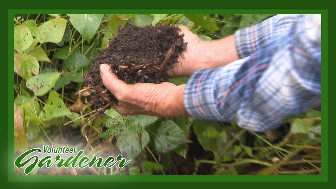 Building Rich Soil | Volunteer Gardener