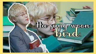 [SUB INDO] HA SUNG WOON - BIRD