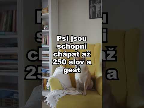 Zajímavosti Ze Světa