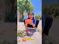 Tiểu Bông hiệu ứng Domino 94 🤣 #shorts