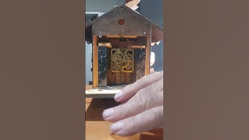 Coukoo clock repair bellows #clock #vintage #germany #cuckooclock #bird #chime #kansas