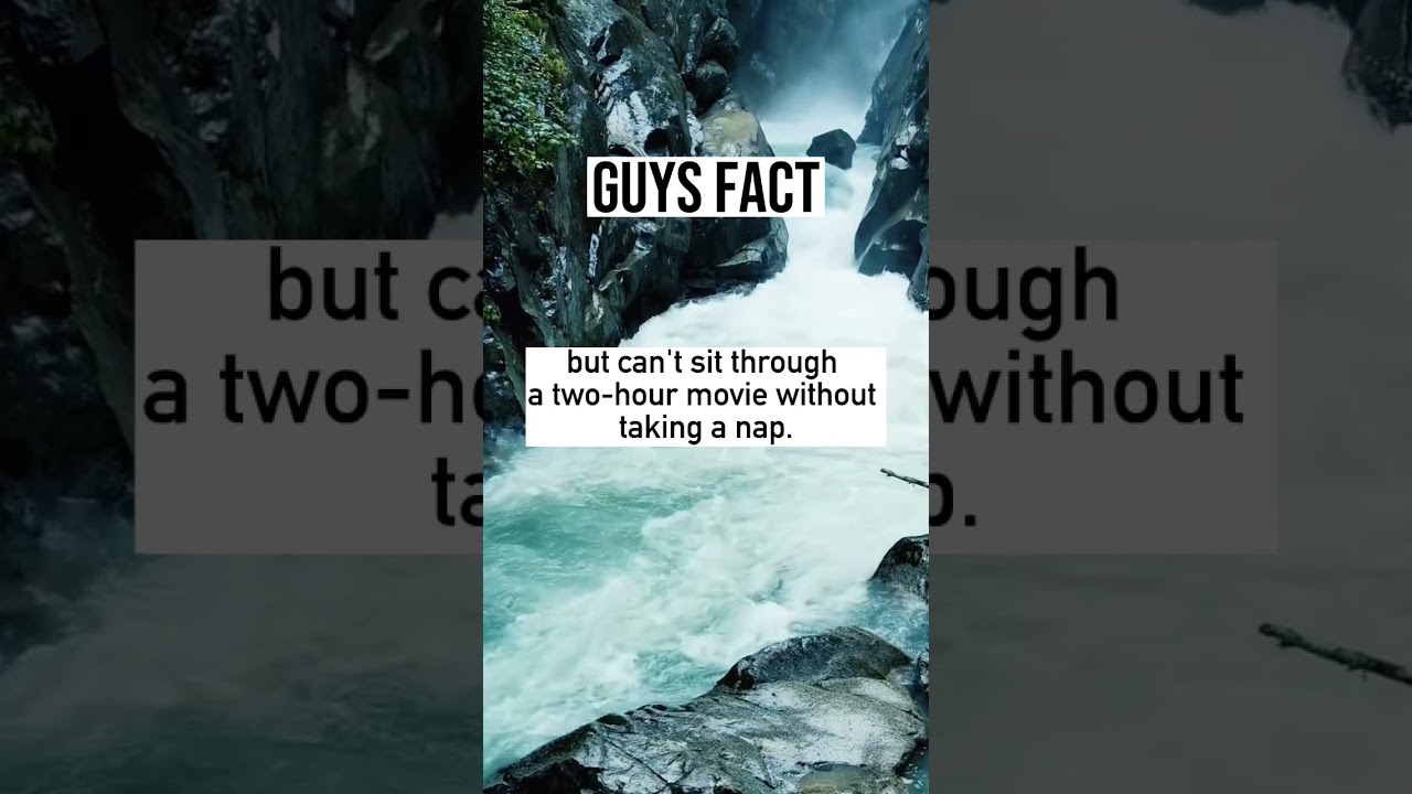 Guys fact | Pfact 
