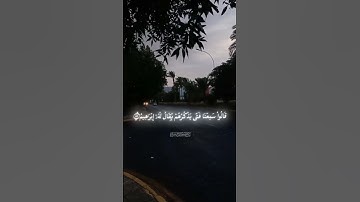 سورة الانبيا |57-64| القارئ#ياسر_الدوسري #قرآن #تلاوة_خاشعة #تلاوة_هادئة #allah #دويتو #quotes #اجر