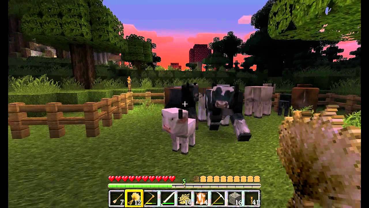 Feeding the cows in Minecraft - YouTube