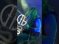 Pantera Jones Beach 7/26/25