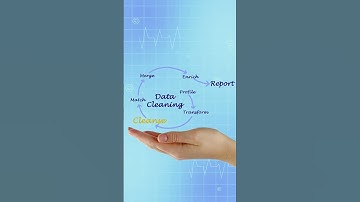 Alice’s Data Cleaning Services