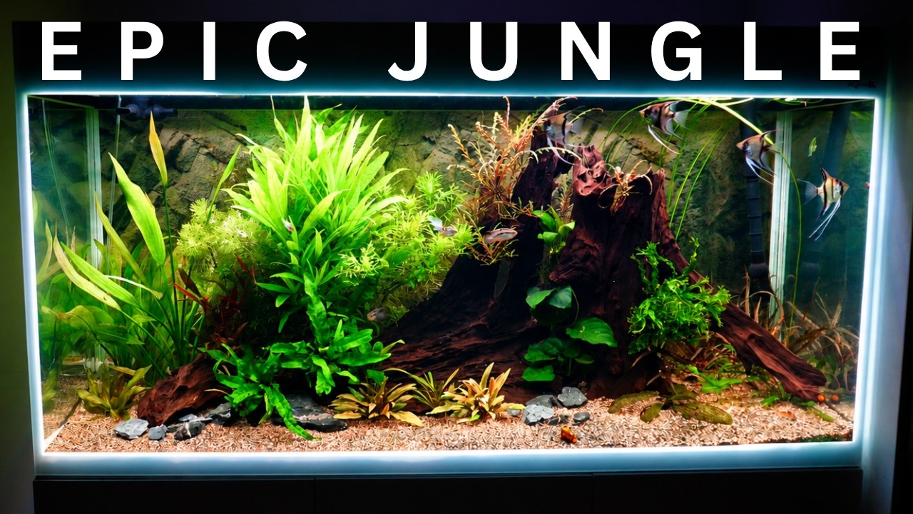 ULTIMATE Jungle Planted Tank Setup! Easy to build - Easy to care!