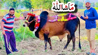 Alhamdulillah Qurbani ke liye Janwar le liya 🐄