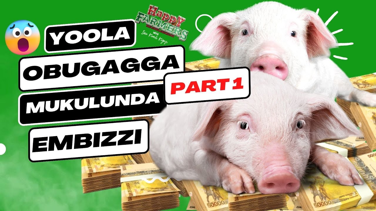 Ggagawalira Mukulunda Embizzi (Part one)