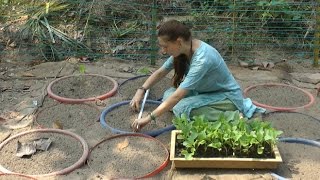 Compost Tea vs E.M. vs Biochar #2 - Starting the Trial, Planting & Applying the Treatments!