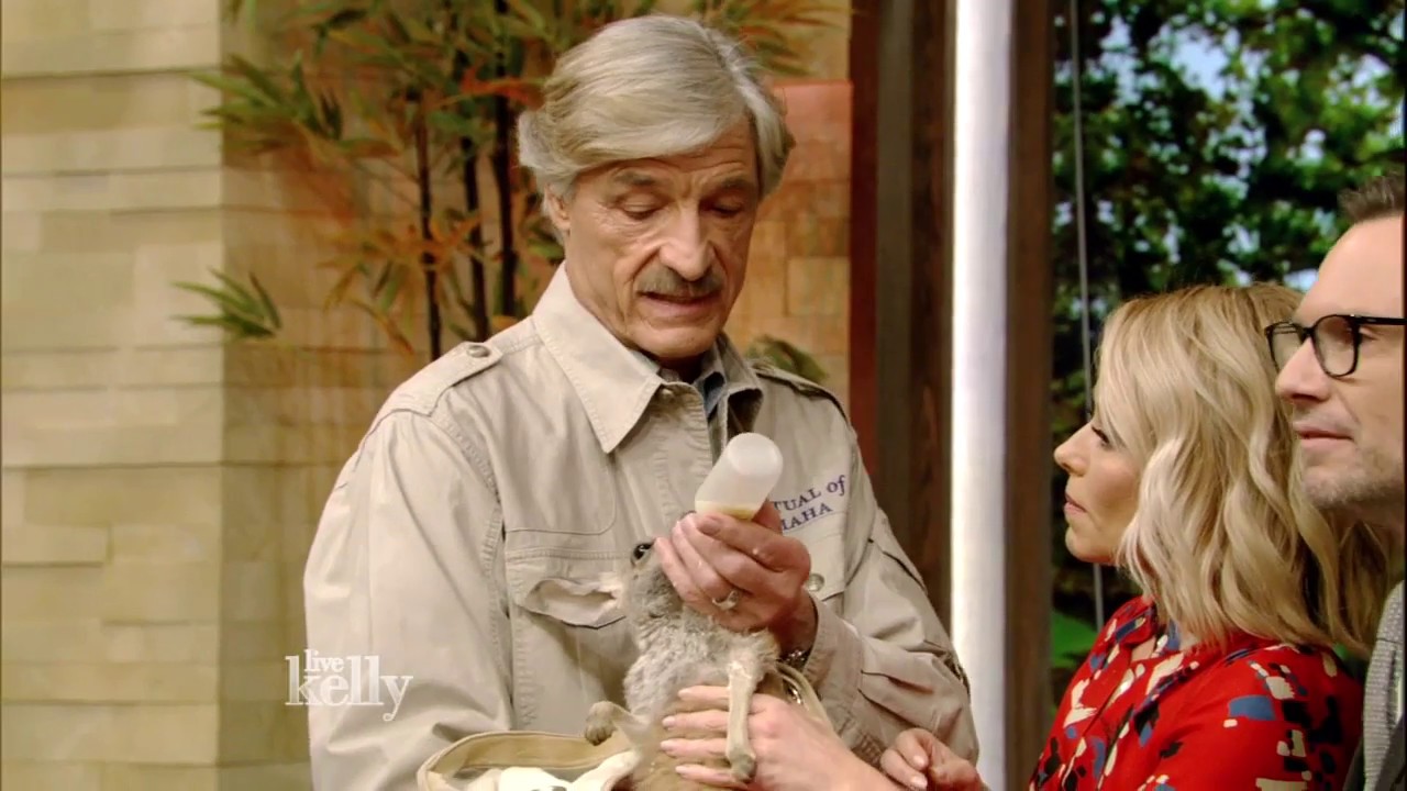 Baby Animals with Peter Gros