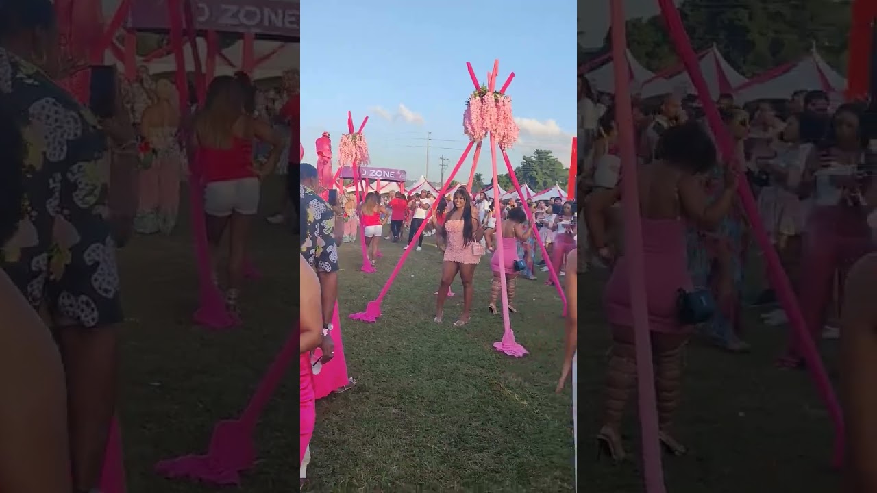 PinknicTT in Trinidad 