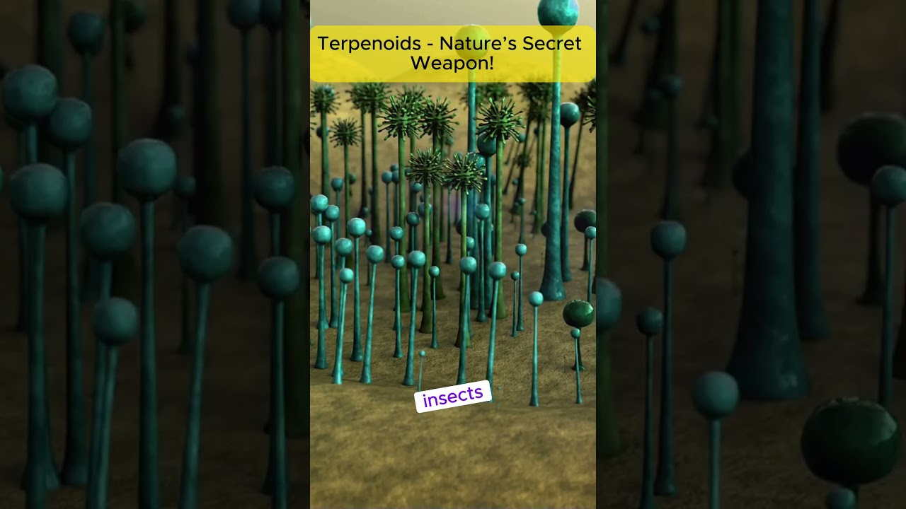 Terpenoids: Nature`s Secret Weapon! Prof. Dr. Aziz