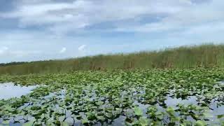 Hovercraft Tour of the Everglades, Florida