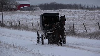 Re-Uploaded Amish Area # 2. Mio, MI.