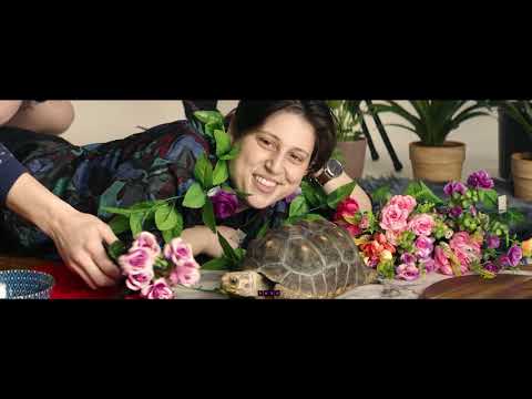 Mal Blum - "Things Still Left To Say" | Music Video