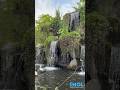 Hidden Pattaya - Black Forest #pattaya #travel #jomtienbeach #imol #blackforestcafe