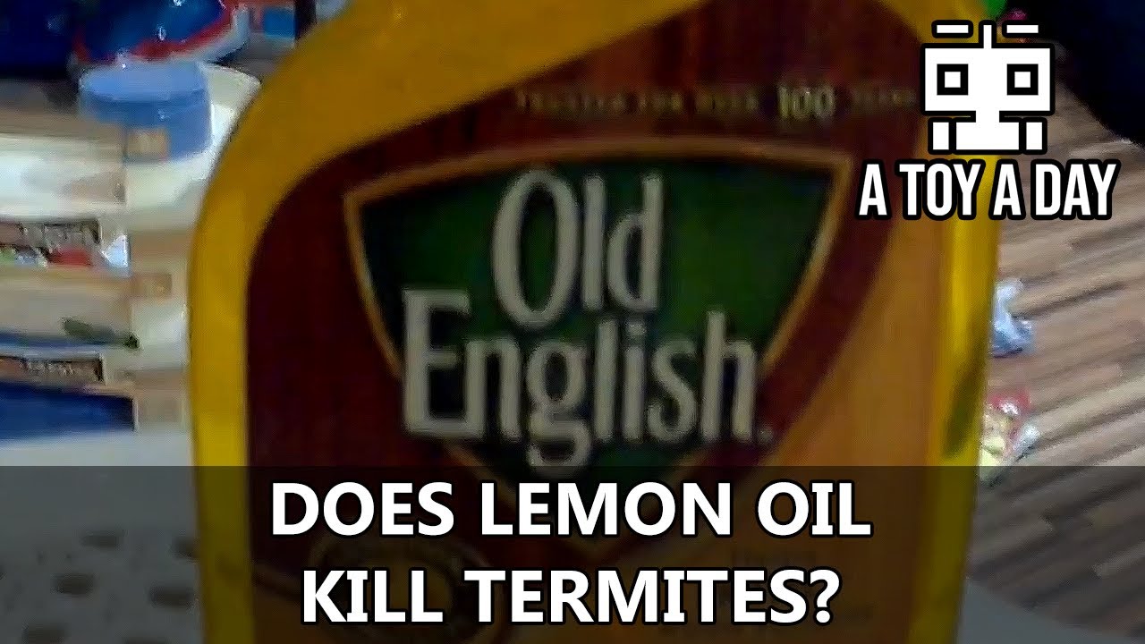 Does lemon oil kill termites? YouTube