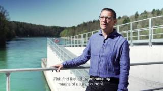 Fish Rise Systems Eglisau-Glattfelden hydro power plant | Axpo