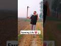 Main Canada 🇨🇦 Pta Kyu Ni Janda #dippevlogs #farming #shorts #trending #trendingshorts #canada