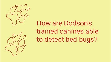 How Bed Bug Sniffing Dogs Work