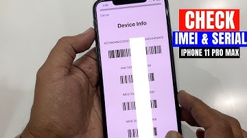 How to Check IMEI Number and Serial Number in iPhone 11 Pro Max