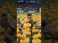 When the fans take 'ducking out of the way' a bit too literally! 🦆🛁⚽️ #football #soccer