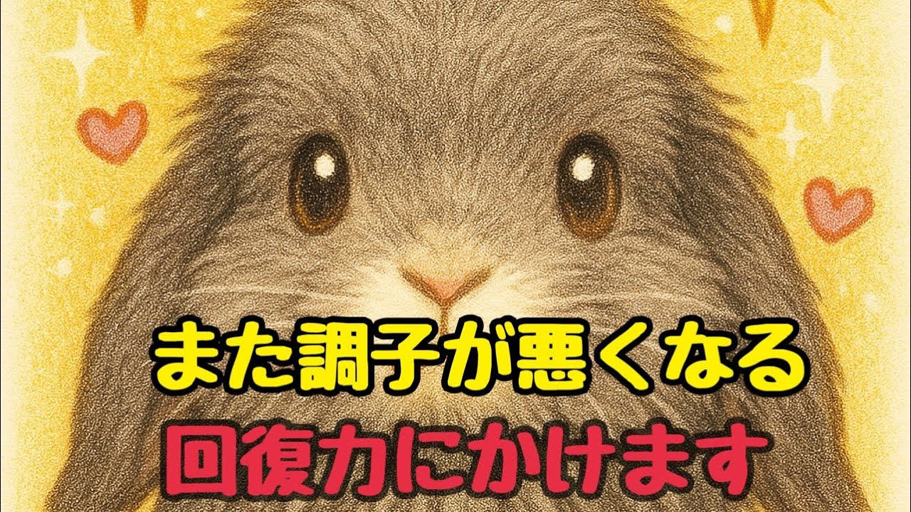 また調子が悪くなりました/回復して欲しい