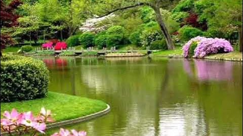 ٱية الكرسي بصوت الشيخ خالد الجليل صوت عذب تلاوة هادئة