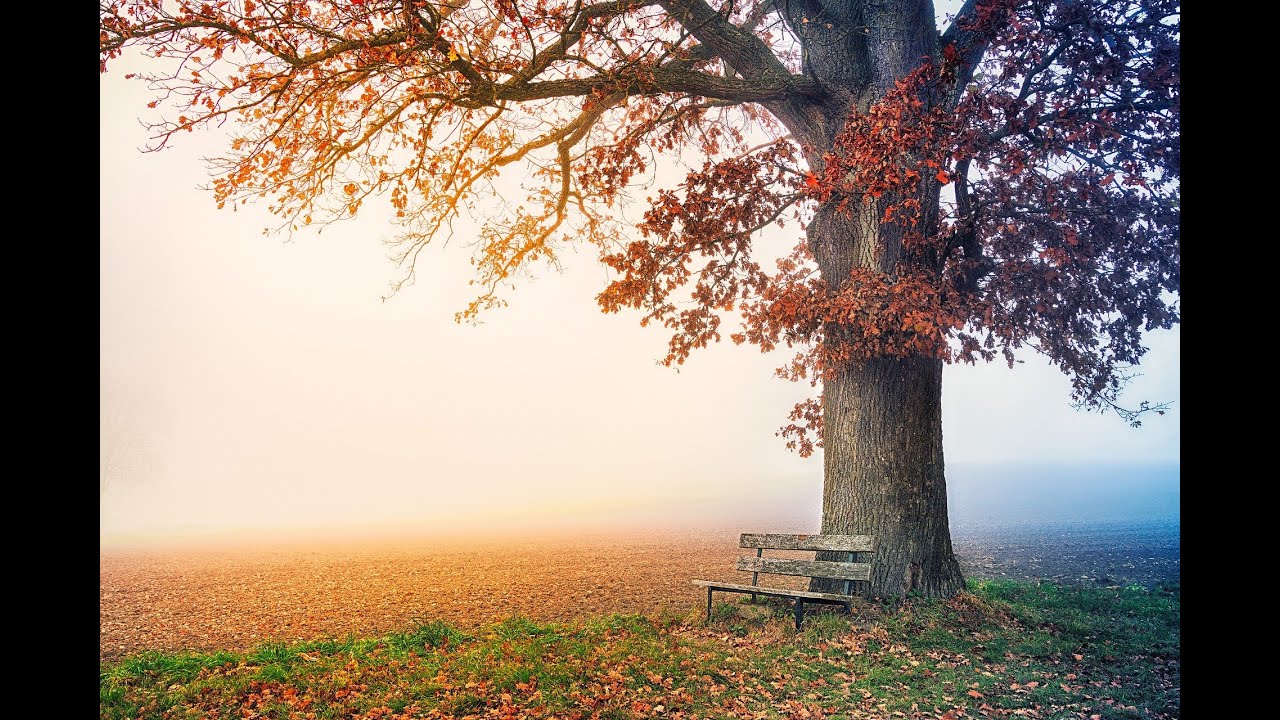 a tree named after him and Selena LOVED Insta